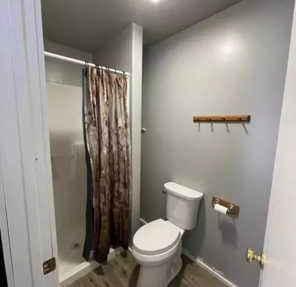 Bear Necessities Alaska