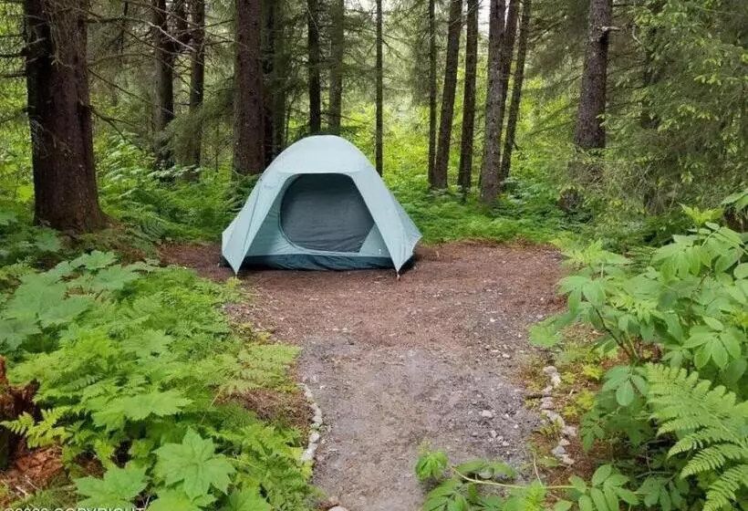 Bear Necessities Alaska