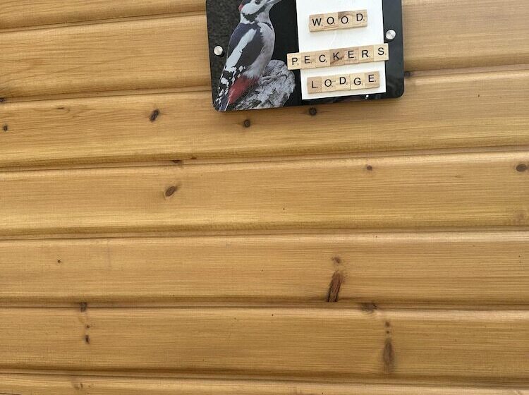 Hotelli Charming 1 Bed Lodge In Dumfries