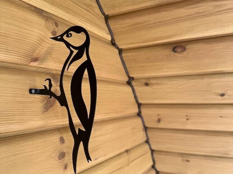 Hotelli Charming 1 Bed Lodge In Dumfries