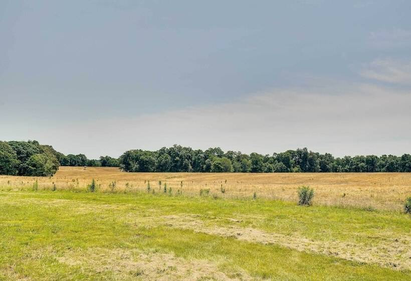 Pet Friendly Vienna Cabin W/ Screened In Porch!