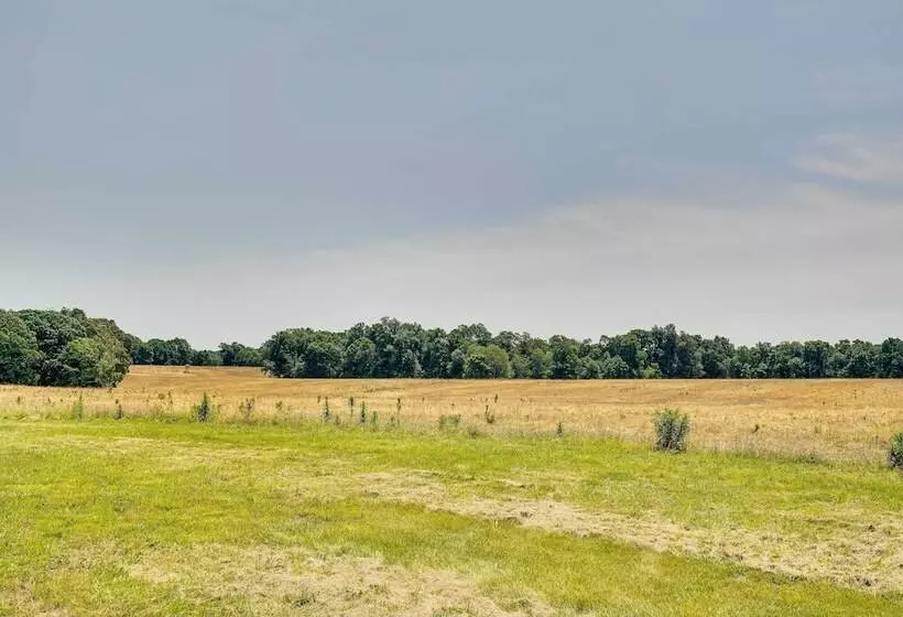 Pet Friendly Vienna Cabin W/ Screened In Porch!