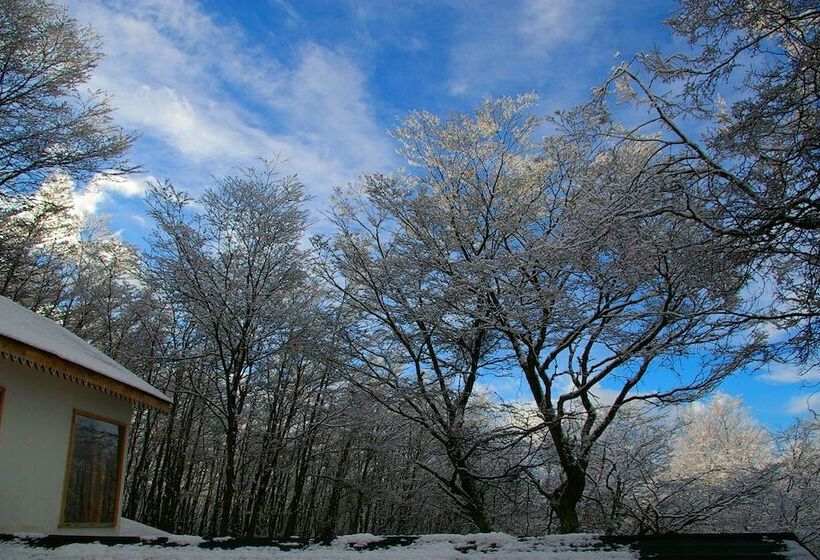 Familia Piatti B&b   Suites