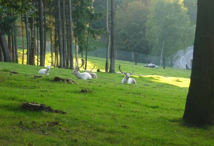 B&b De Charme La Maison Des 5 Temps