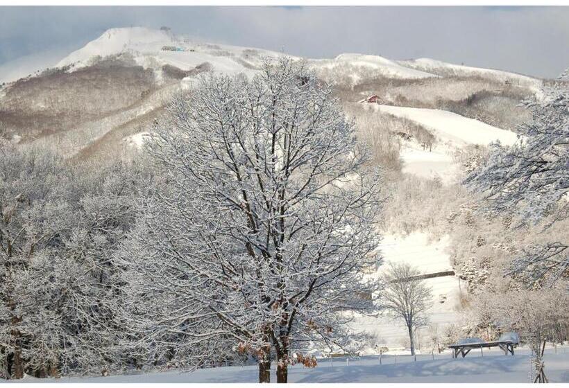 בית מלון כפרי Heidi Hof