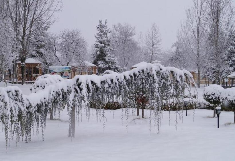 هتل Gabala Yeddi Gozel