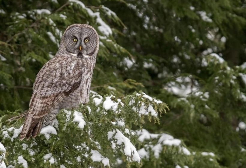 Milford Motel On The River