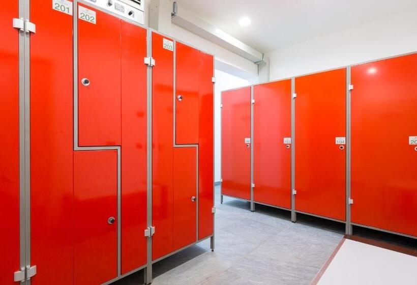 פנסיון Green Rose