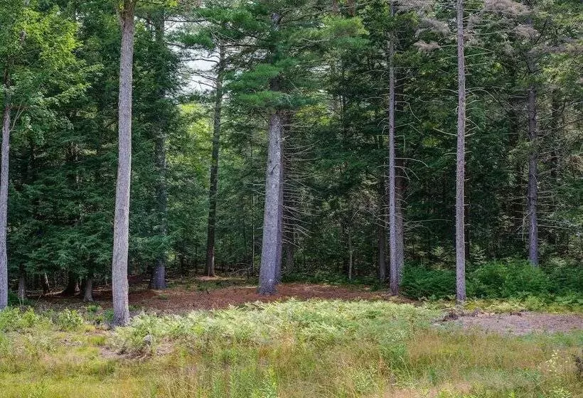 Pet Friendly Conway Cabin ~ 5 To Campton Mountain!