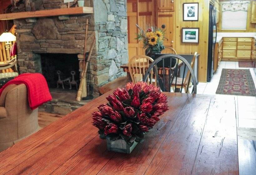 Secluded & Rustic Cabin On South Toe River!