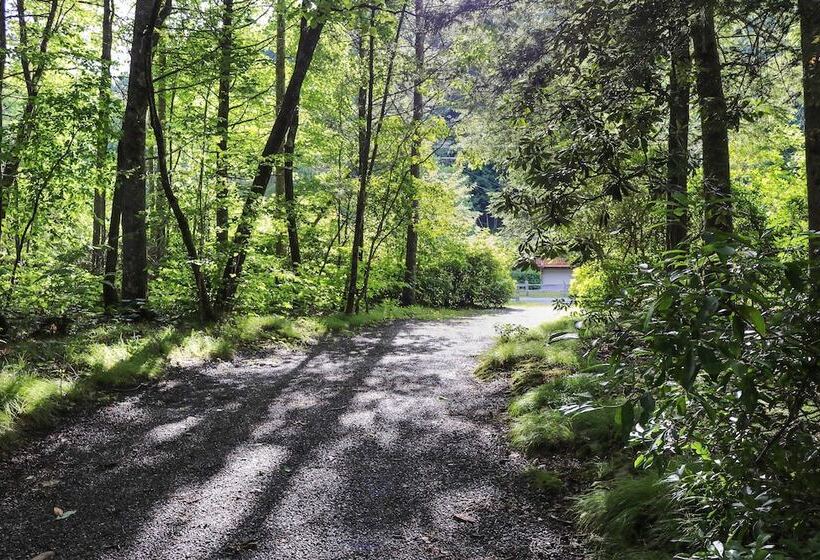 Secluded & Rustic Cabin On South Toe River!