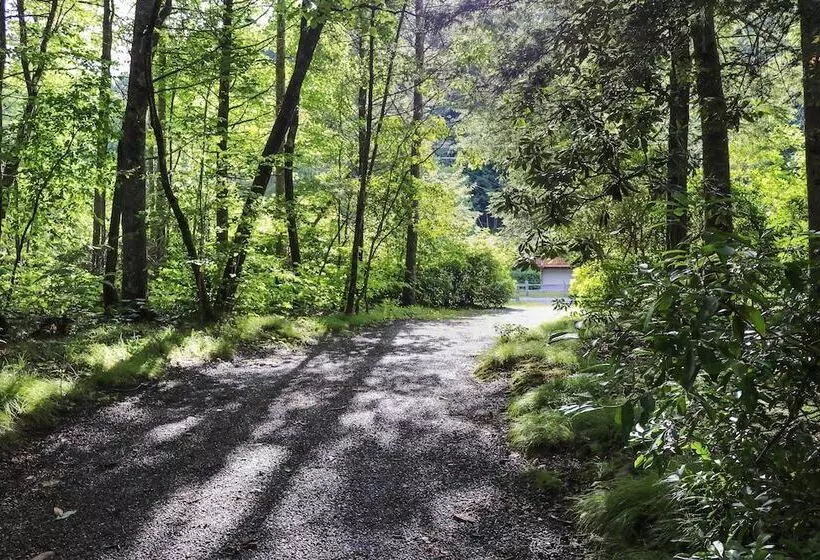 Secluded & Rustic Cabin On South Toe River!