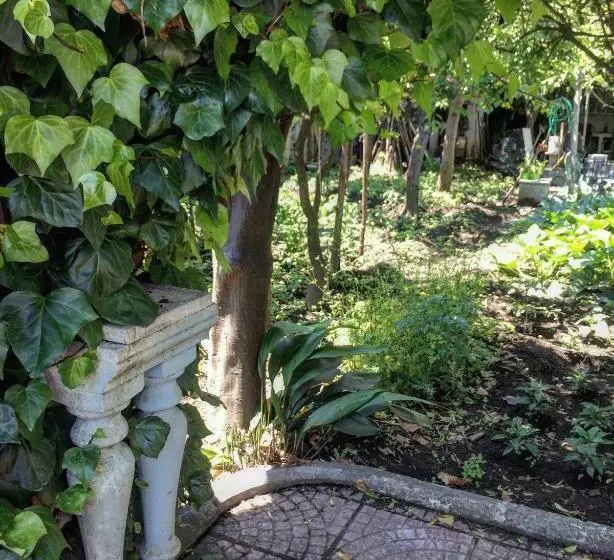 B&b Rectina Pompei
