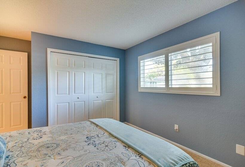 Largo Retreat W/ Private Pool, Slide & Treehouse!