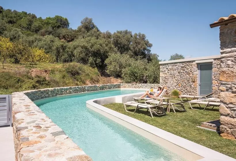 Evge Experience Boutique