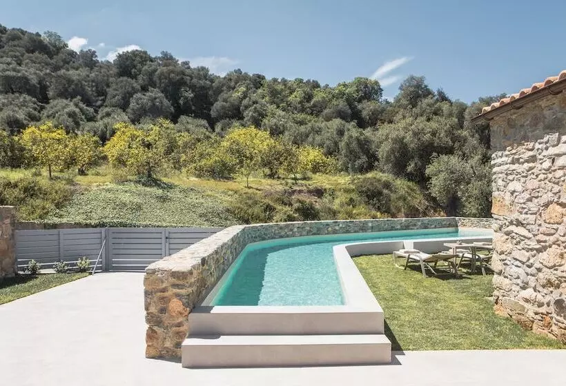 Evge Experience Boutique