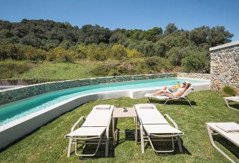 Evge Experience Boutique