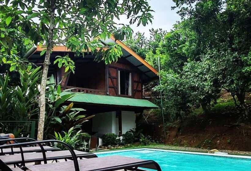 ホテル Drake Bay Sunset Lodge