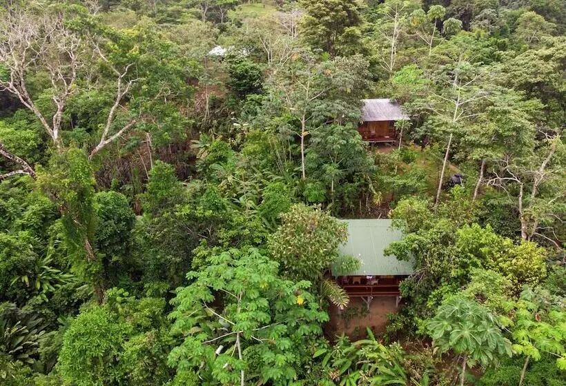 هتل Drake Bay Sunset Lodge