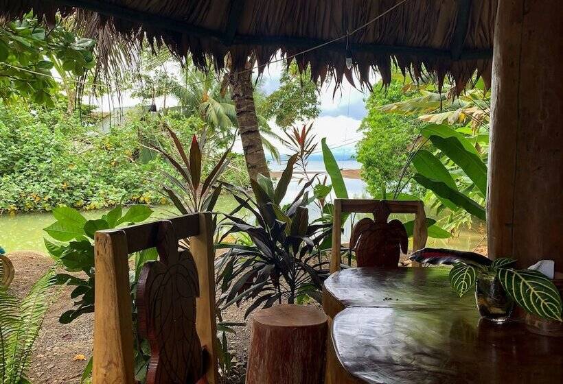 ホテル Drake Bay Sunset Lodge