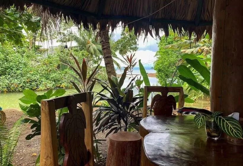 هتل Drake Bay Sunset Lodge