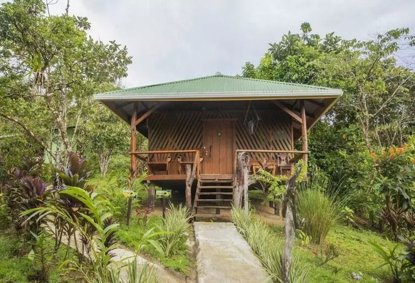 هتل Drake Bay Sunset Lodge