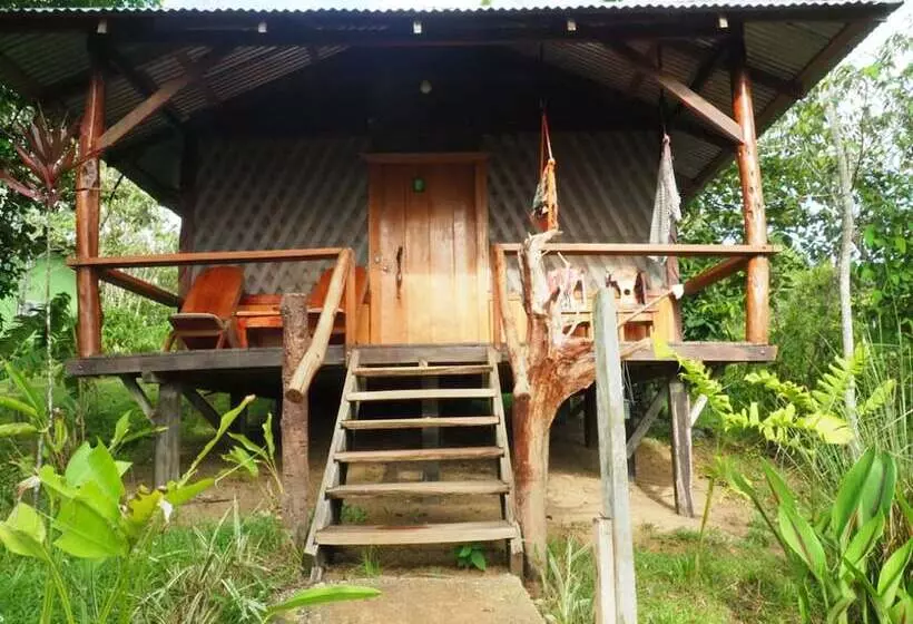 هتل Drake Bay Sunset Lodge