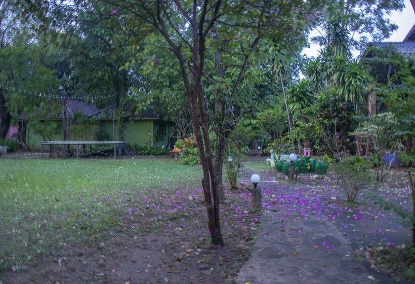 Hotel The Cliff View Resort Baan Pha Nam