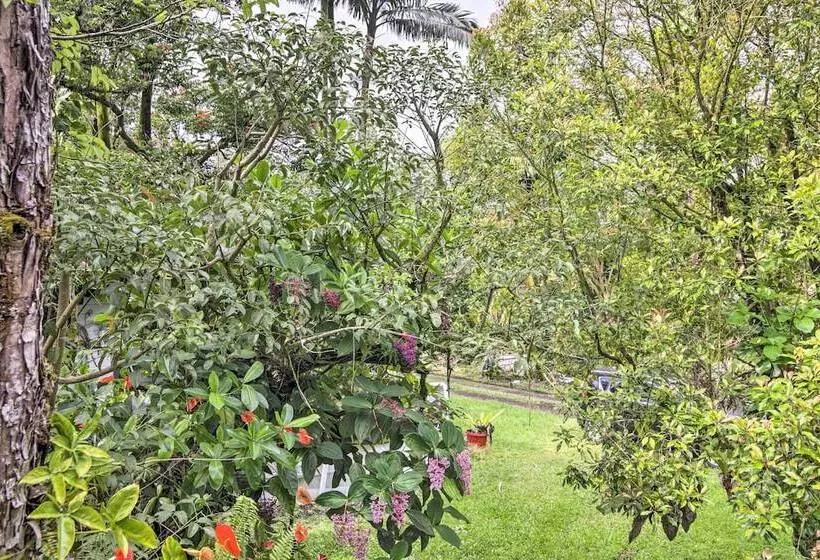 Idyllic Pahoa Paradise: Hike, Swim & Explore!