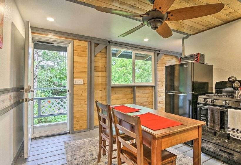 Idyllic Pahoa Paradise: Hike, Swim & Explore!