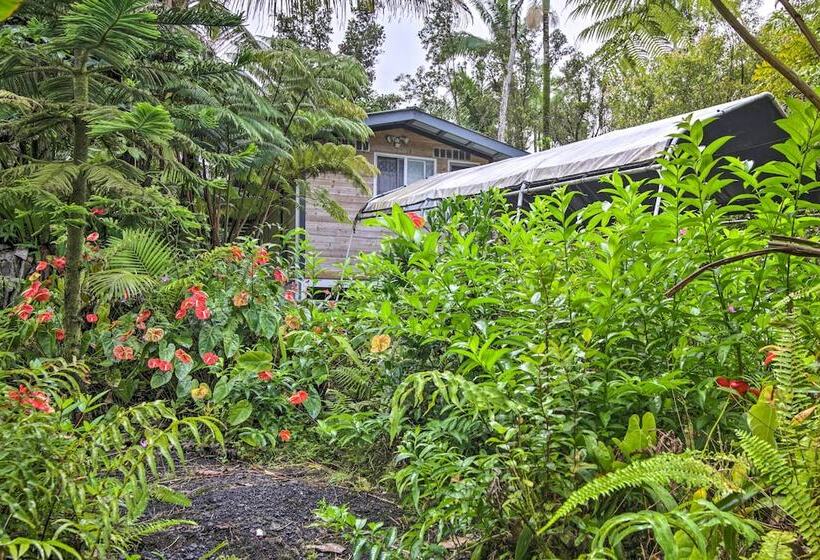 Idyllic Pahoa Paradise: Hike, Swim & Explore!