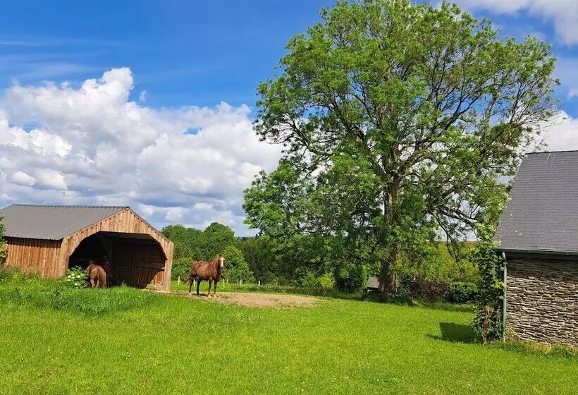 Majatalo Gîte L Olivier à Filly   Nadrin, Entre Houffalize Et La Roche En Ardenne
