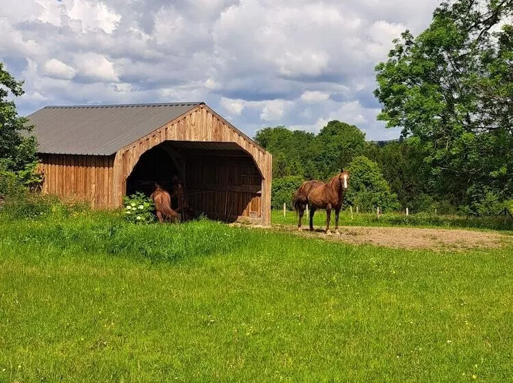 Majatalo Gîte L Olivier à Filly   Nadrin, Entre Houffalize Et La Roche En Ardenne