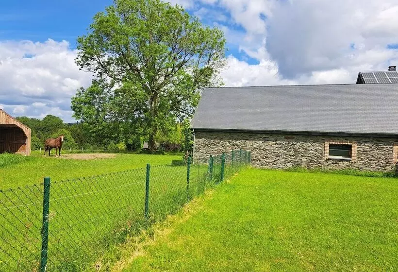 Majatalo Gîte L Olivier à Filly   Nadrin, Entre Houffalize Et La Roche En Ardenne