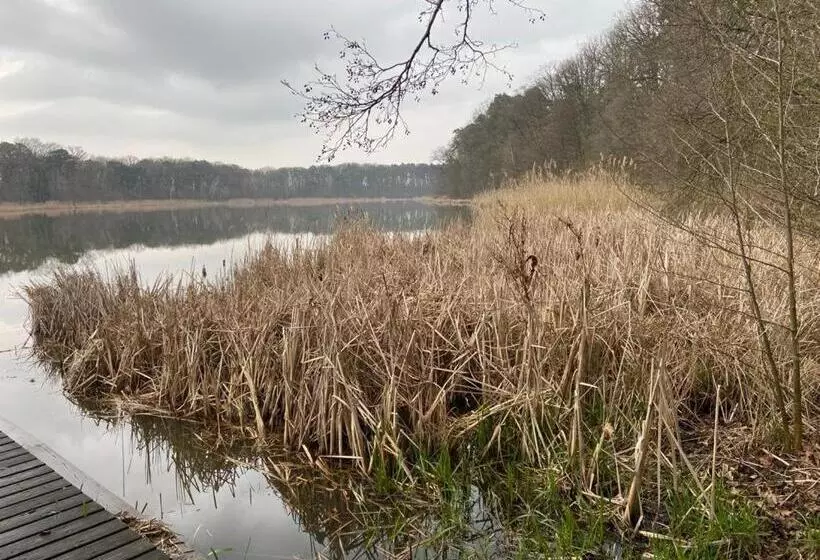Majatalo Lawendowa Przystań