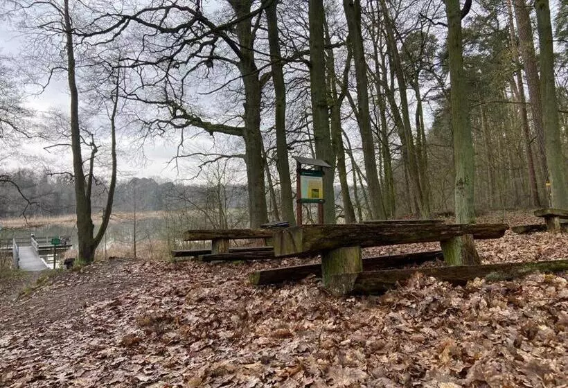 Majatalo Lawendowa Przystań