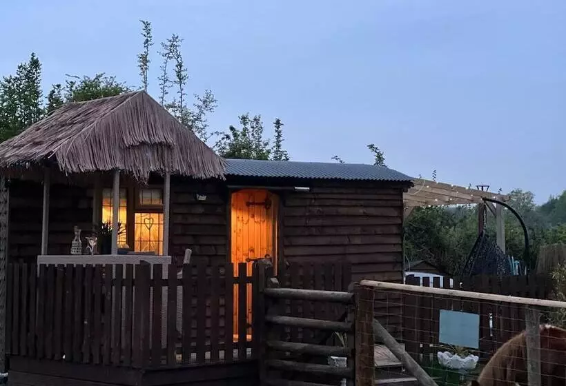 Cute And Cosy Shepard Hut With Wood Fuel Hot Tub