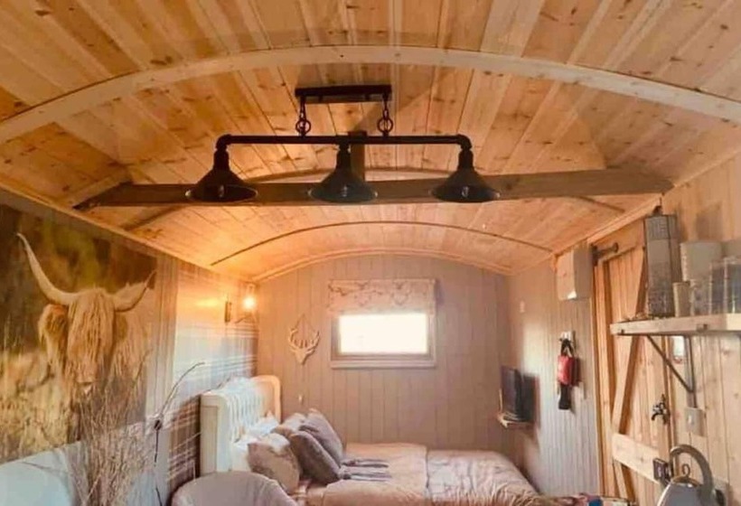 Cute And Cosy Shepard Hut With Wood Fuel Hot Tub