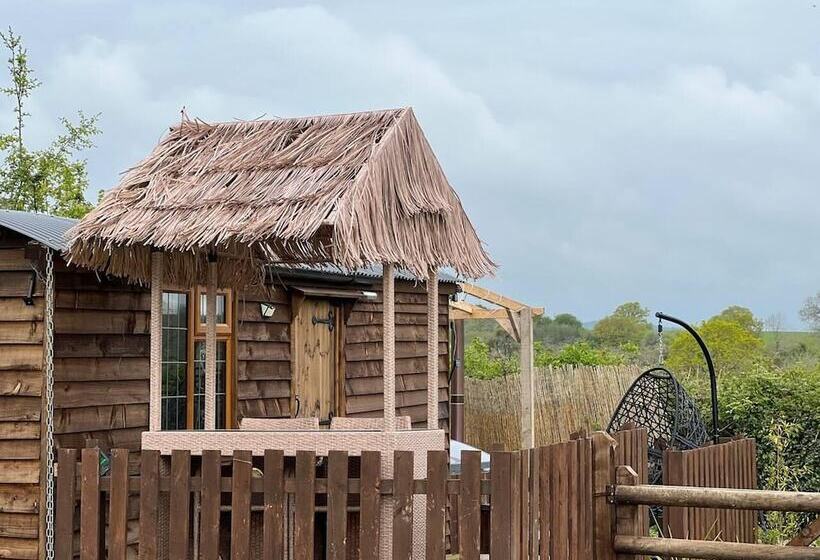 Cute And Cosy Shepard Hut With Wood Fuel Hot Tub