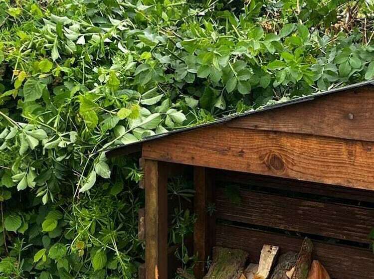 Cute And Cosy Shepard Hut With Wood Fuel Hot Tub