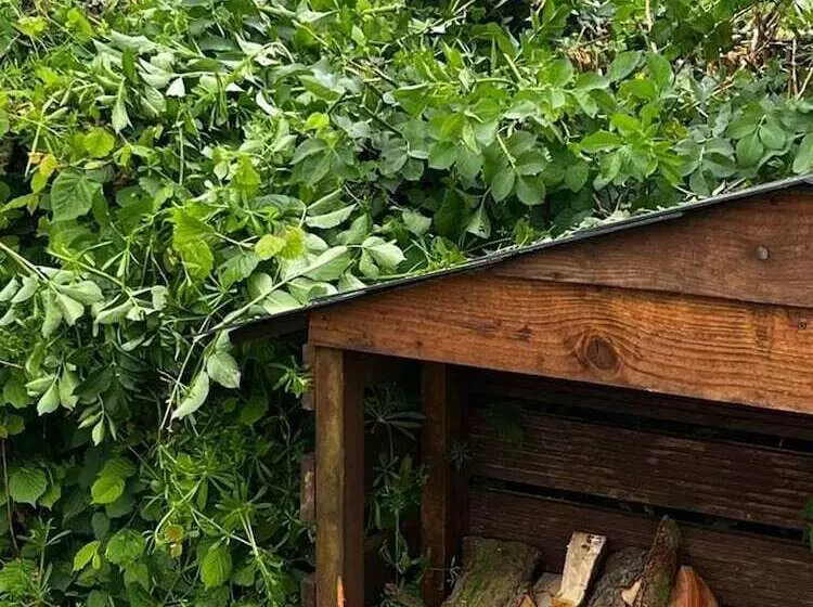 Cute And Cosy Shepard Hut With Wood Fuel Hot Tub