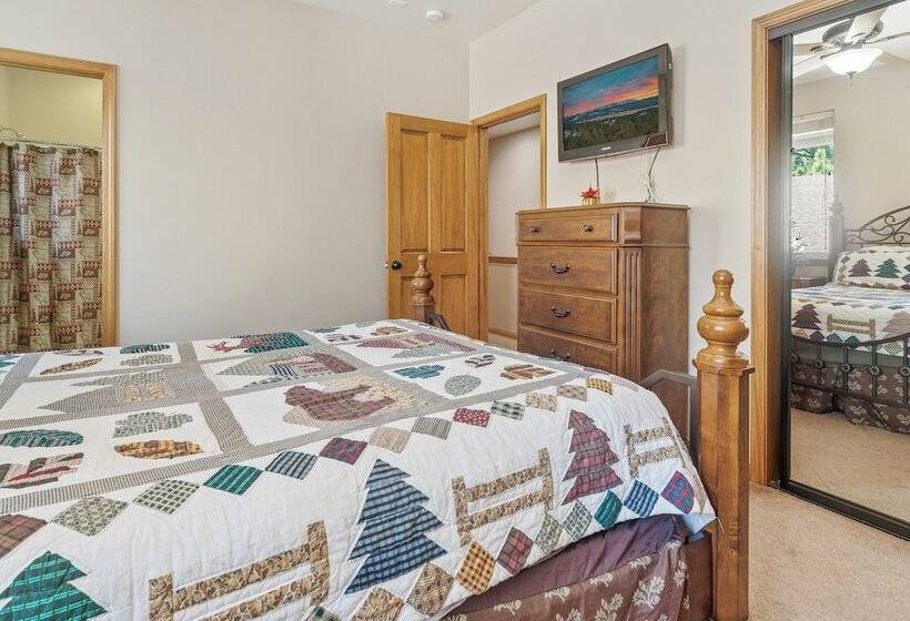 Summit Shooting Star 1