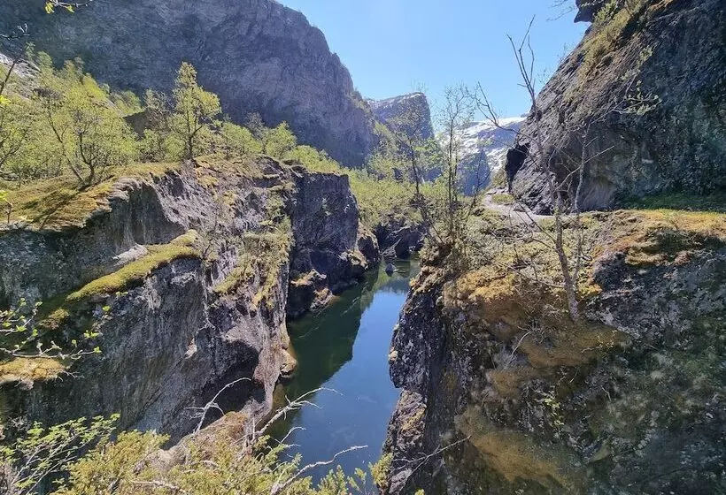 ベッドアンドブレックファースト østerbø Fjellstove