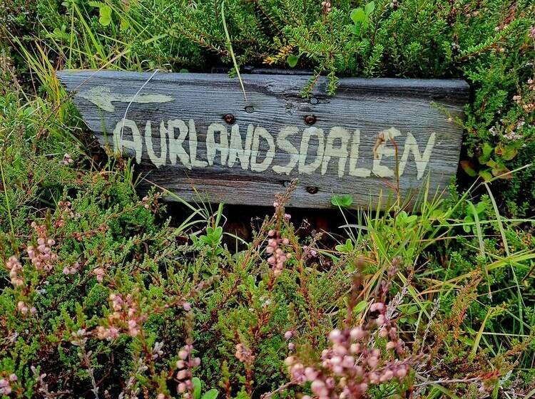 צימר østerbø Fjellstove