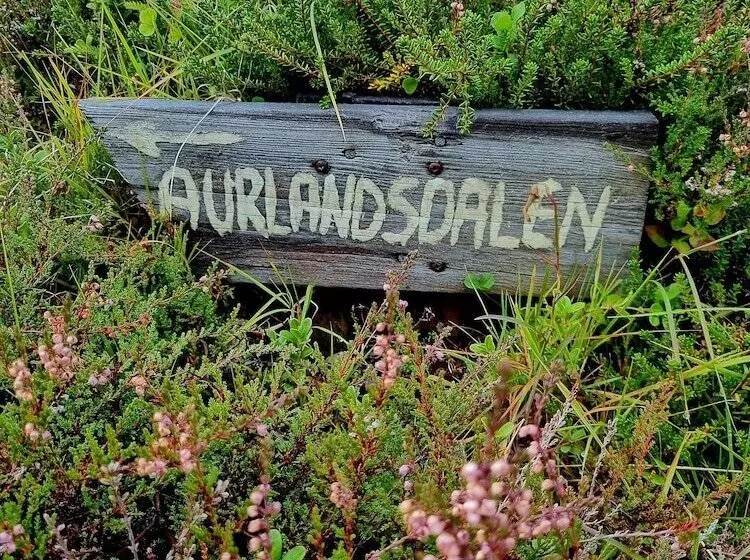 ベッドアンドブレックファースト østerbø Fjellstove