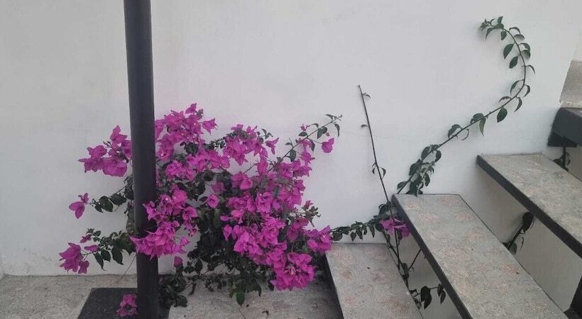 ホテル Eco Espacio By Rotamundos