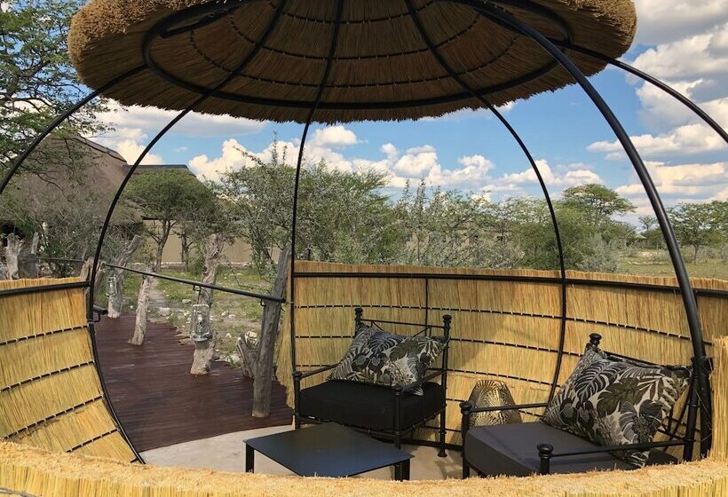 هتل Etosha Oberland Lodge