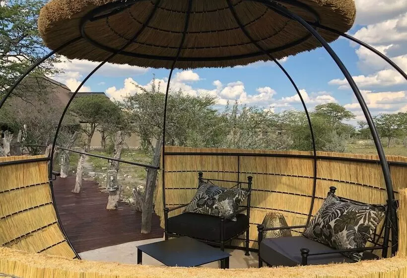 هتل Etosha Oberland Lodge