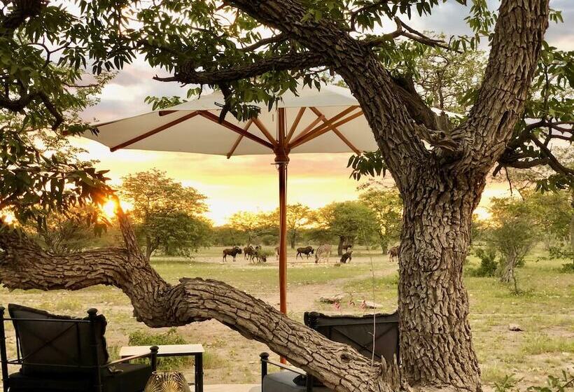 هتل Etosha Oberland Lodge