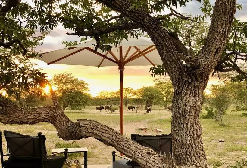 هتل Etosha Oberland Lodge